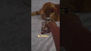 His VS Hers #viral #pokemon #pokemoncards #pokemontcg #fyp #fun #hisandhers #love #cat