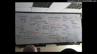 5) Dr. wael salah Lacrimal system