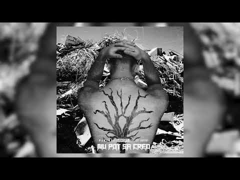 05.CMBH - Nu pot sa cred (Official Audio)