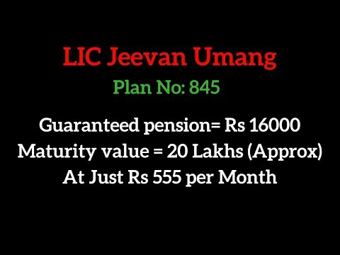 Jeevan Umang LIC Plan in Hindi | LIC Whole Life Policy | LIC Policy Example Video