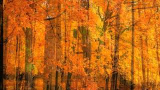 Think of Laura By Christopher Cross Lyrics