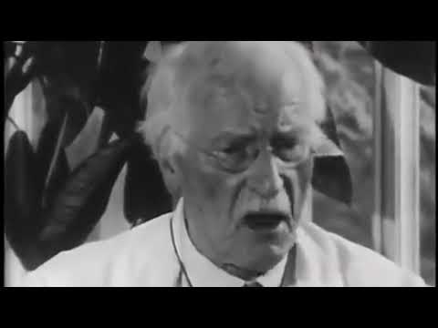 Jung on archetypes