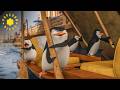 Epic Penguin Chase Through Venice City Penguins Of Madagascar