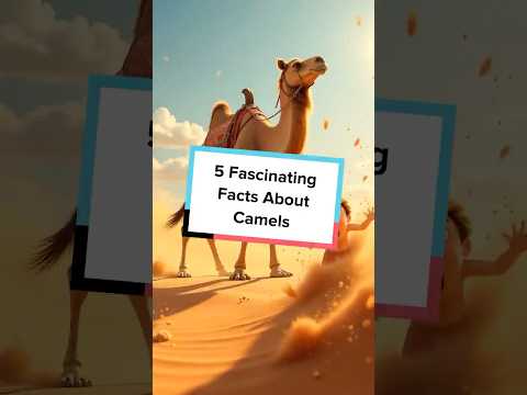 5 Fascinating Facts About Camels