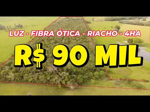 [1043]CHACARA EM SANTO ANTÔNIO DA PATRULHA CAMPESTRE 4HA LUZ FIBRA ÓTICA RIACHO R$ 90 MIL #chacara