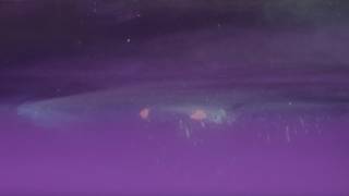 Kid Koala "Adrift" featuring Emilíana Torrini (Official Video)