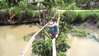 Vietnam 5-12 monkey bridge