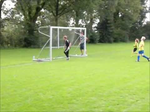 drogista.nl | Nemelaer - Sarto 4.2 | 2011