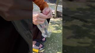 Download lagu Recycle water bottles to make eel traps for the whole family #farm #review #cooking #nhanfarmcuisine mp3