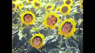 Sunnyboys - It's A Sunny Day (1982)