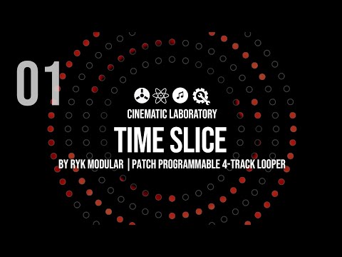 Time Slice by Ryk Modular - Four Track Modular Digital Tape Machine/Looper with click track :)
