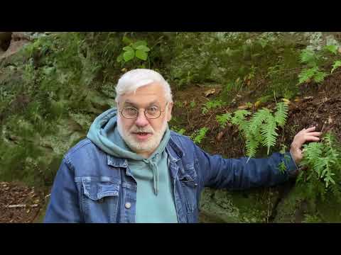 Podpořte knihu TAJUPLNÉ KRKONOŠE – od Rybrcoula po zázraky poutních míst