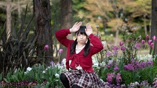 【憂来羽ゆきの】君色に染まる踊ってみた【誕生日】