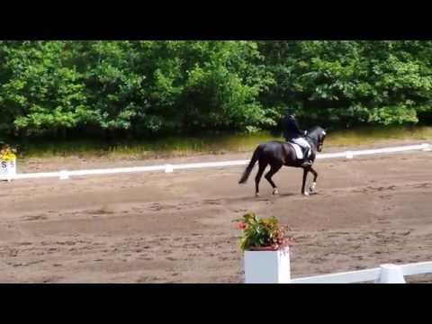 Delatina von Don Schufro-Lauries CrusadorXX, 1