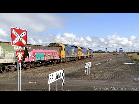 7731V & 7736V Pacific National Grain Trains Cross At Gheringhap Loop (23/6/2023) - PoathTV Railways