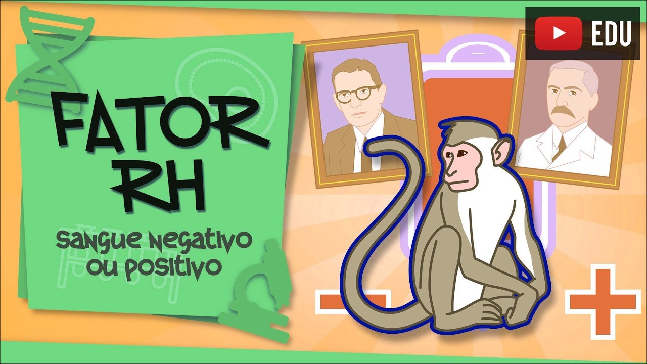 Fator Rh - por que o sangue é positivo ou negativo?
