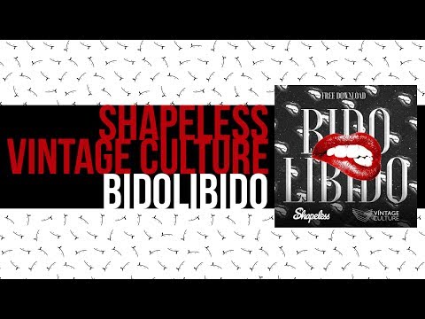 Vintage Culture, Shapeless - Bidolibido