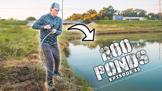 Fishing A SNEAKY Lure For Fall Pond Bass! (200 Ponds Ep. 35)