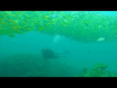 2018 1230 171257 035