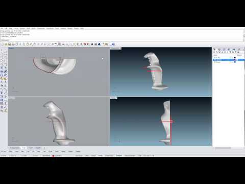 Rhinoceros 5. 3D Sketch from scanned data