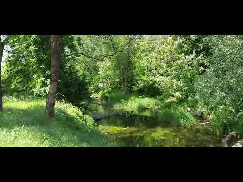 Widawa... wspomnienia z wycieczki.