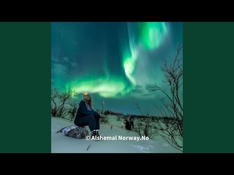 Under the Arctic Sky – Alshemal Norway | Aurora Song • Northern Lights Chase in Tromsø