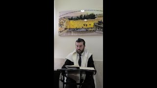 כלל א' חלק ב' | לשון הרע דרך כתיבה - הפצת סרטונים וכתבות