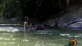 preview picture of video 'Puerto Vallarta Tours - Horseback Riding beautiful PV.'