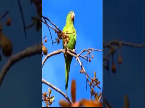 Sanagasta la Rioja Argentina