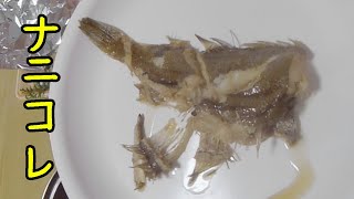 カレイの煮付けを作ってみた！