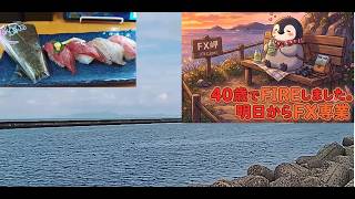 明日からFIREするお祝いに借金で寿司屋行き税金払ってきた40歳元フリーランスの映像。ビットコイン101万負け