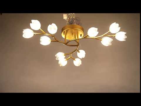 Превью видео