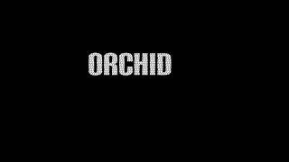 Orchid- Epilogue of a Car Crash