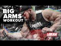 Big Arms Workout with Hunter Labrada | Triceps and Biceps Complete Workout