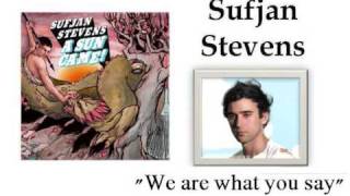 We are what you say - Sufjan Stevens