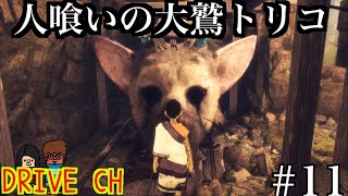 人喰いの大鷲トリコ【DRIVE CH】#11