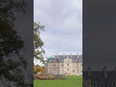 What a week at the château throws at us! #châteaurestoration #frenchchâteau #history