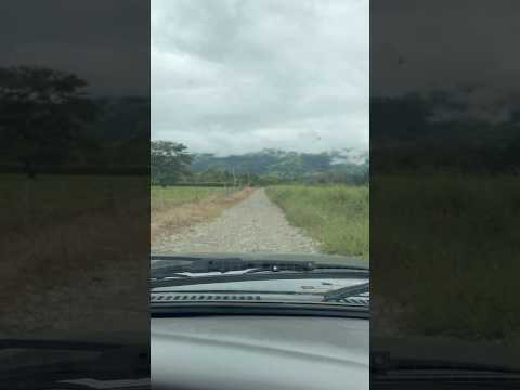 Que vereda de mesetas meta es por donde voy pasando #destacar #seguidores#travesiasconwillian