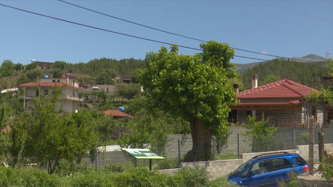 Kosina, jeta mes traditës dhe natyrës, banorët mbajnë gjallë një mënyrë jetese të trashëguar ndër breza