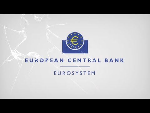The European Central Bank Experience