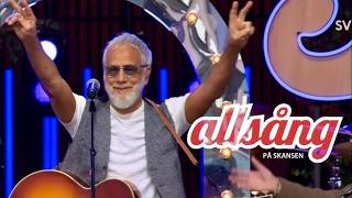 Yusuf / Cat Stevens – If You Want To Sing Out, Sing Out (Live 2026)