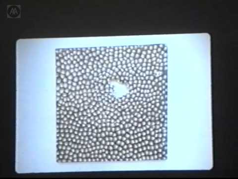 Tom Sachs, Richard Wentworth - Creativity is the Enemy