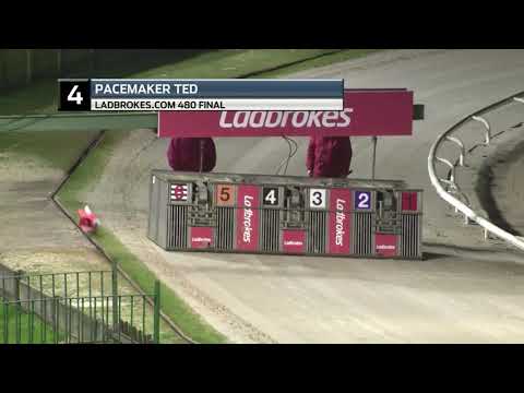 2021 LADBROKES 480 FINAL - T4 PACEMAKER TED