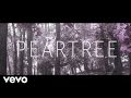 Peartree - Hate to say I told you so