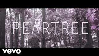 Peartree - Hate to say I told you so