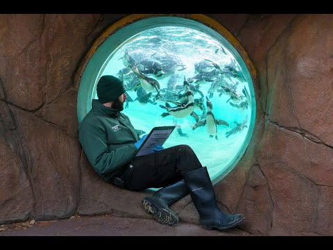 London Zoo’s Annual Stocktake 2026