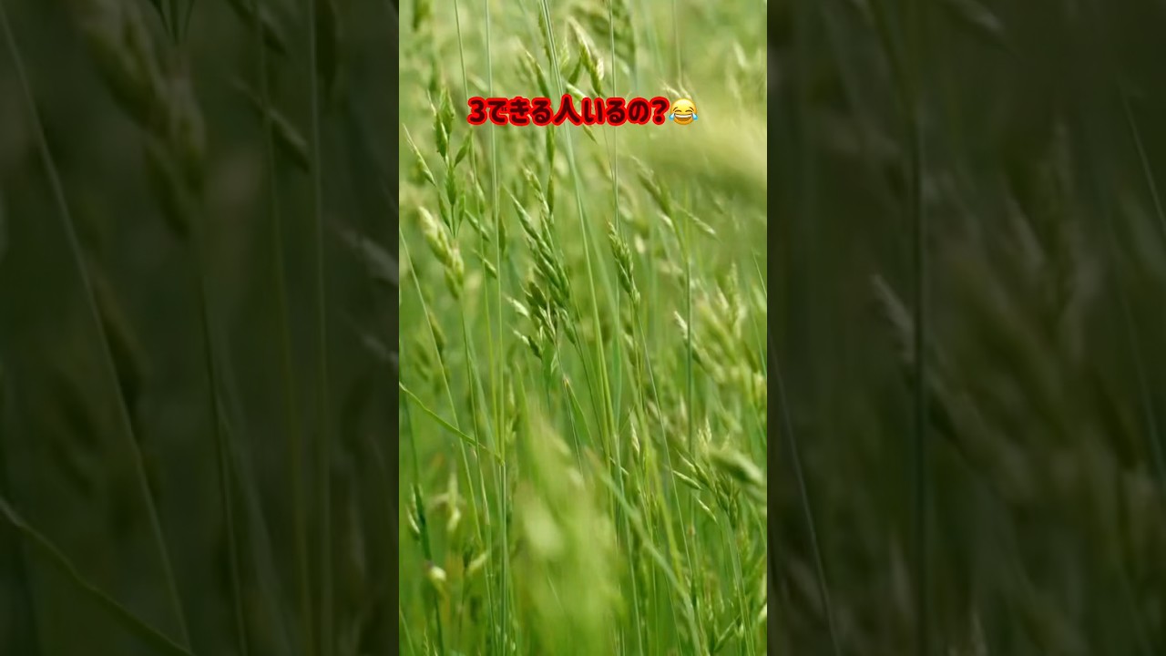 私は2かな〜😂#おもしろ #質問 #難問