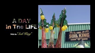 A Day In The Life with &quot;The Soil King&quot; Episode #2 (Willo &amp; Ember Soulshine Arts Studio)
