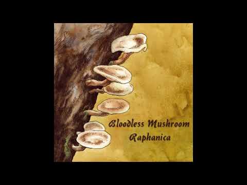 Bloodless Mushroom - Raphanica - 04 - Settling Fog (Pressulus)