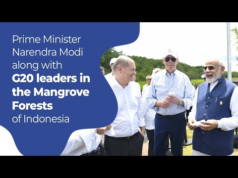Prime Minister Narendra Modi along with G20 leaders visits Mangrove Forests, Indonesia l PMO
